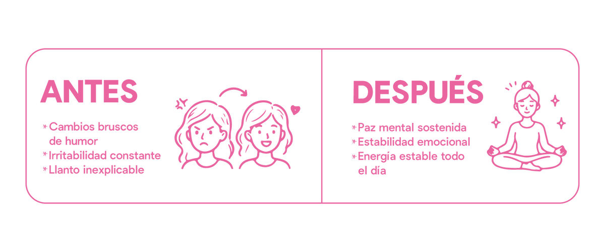 Sección informativa