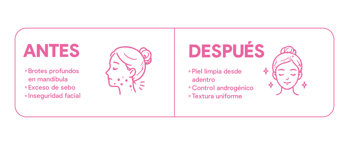 Sección informativa