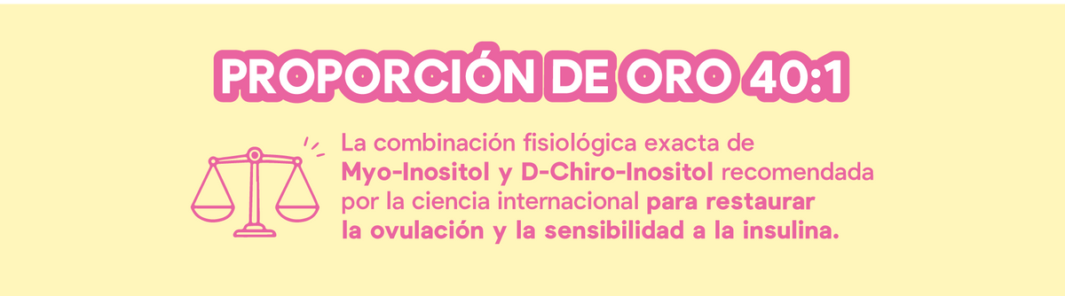 Sección informativa