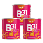 3 B31 Lulada
