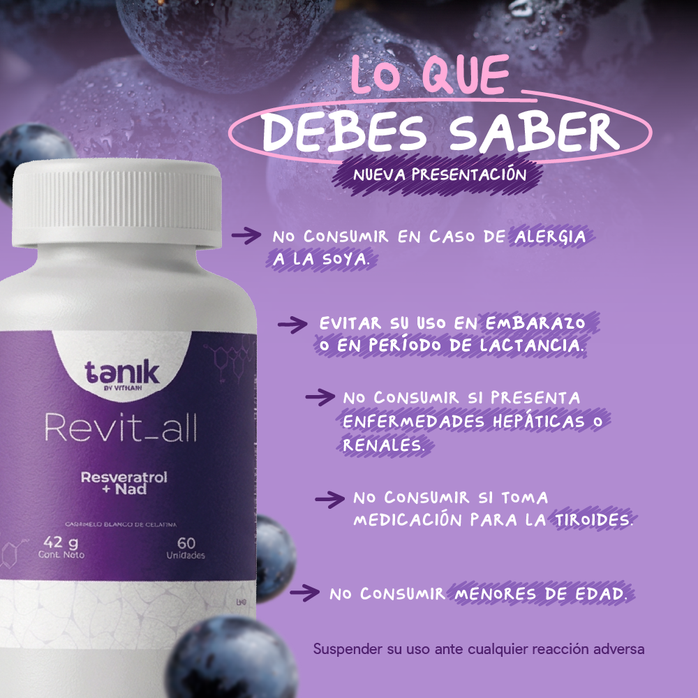 Revit all lo que debes saber